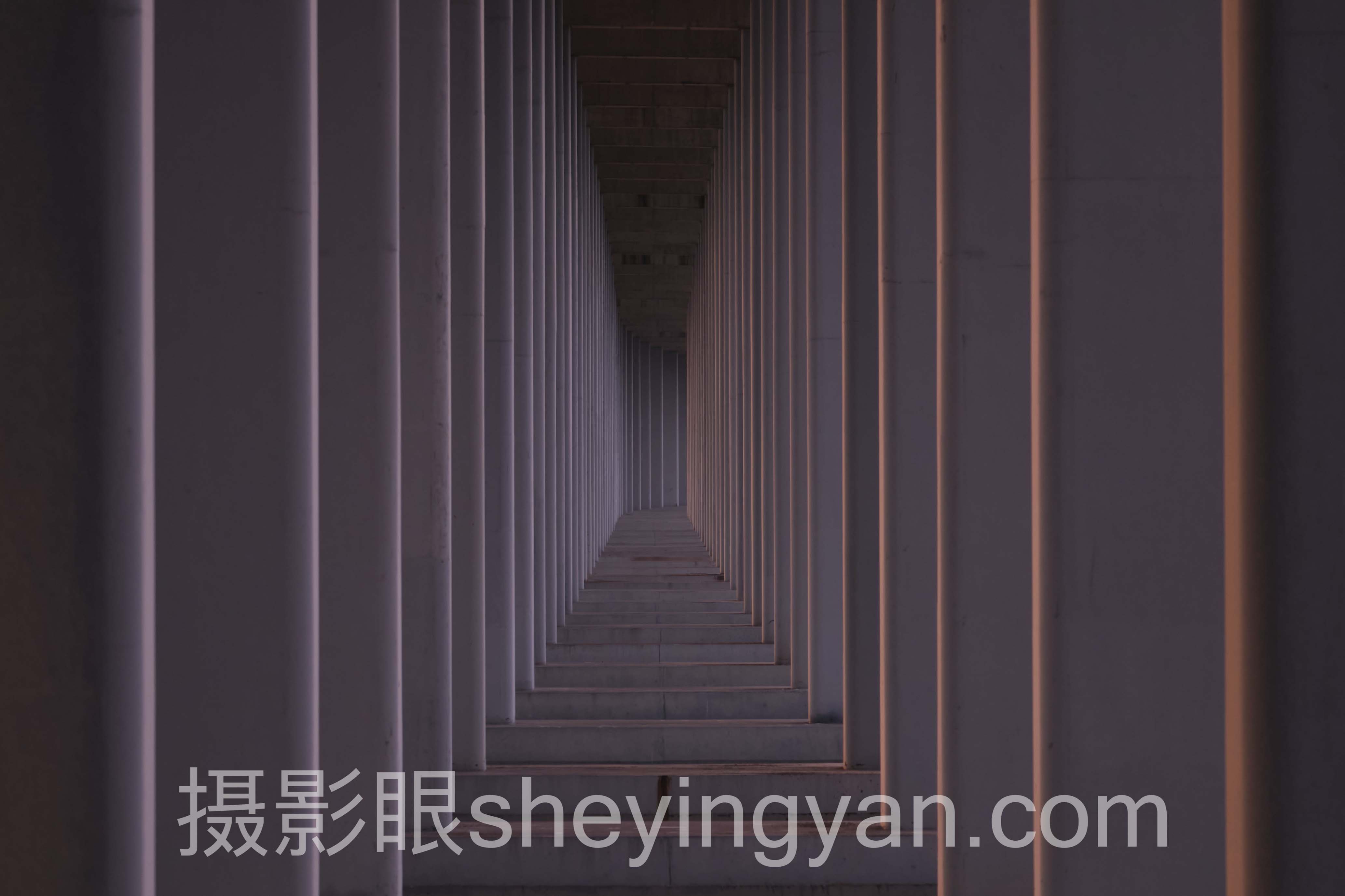 照片点评平台教程怎么做？3个案例告诉你答案