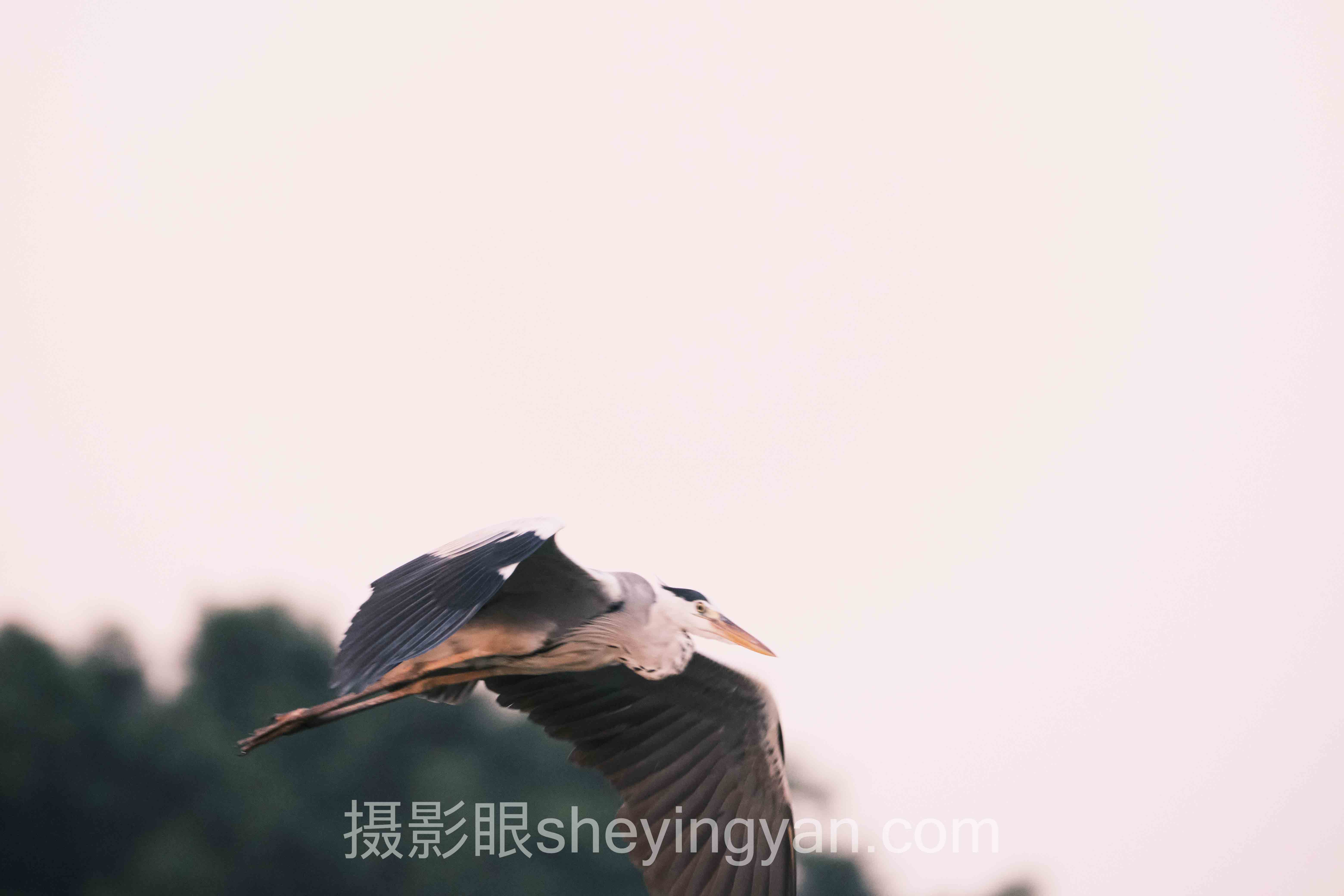 提高摄影审美看什么