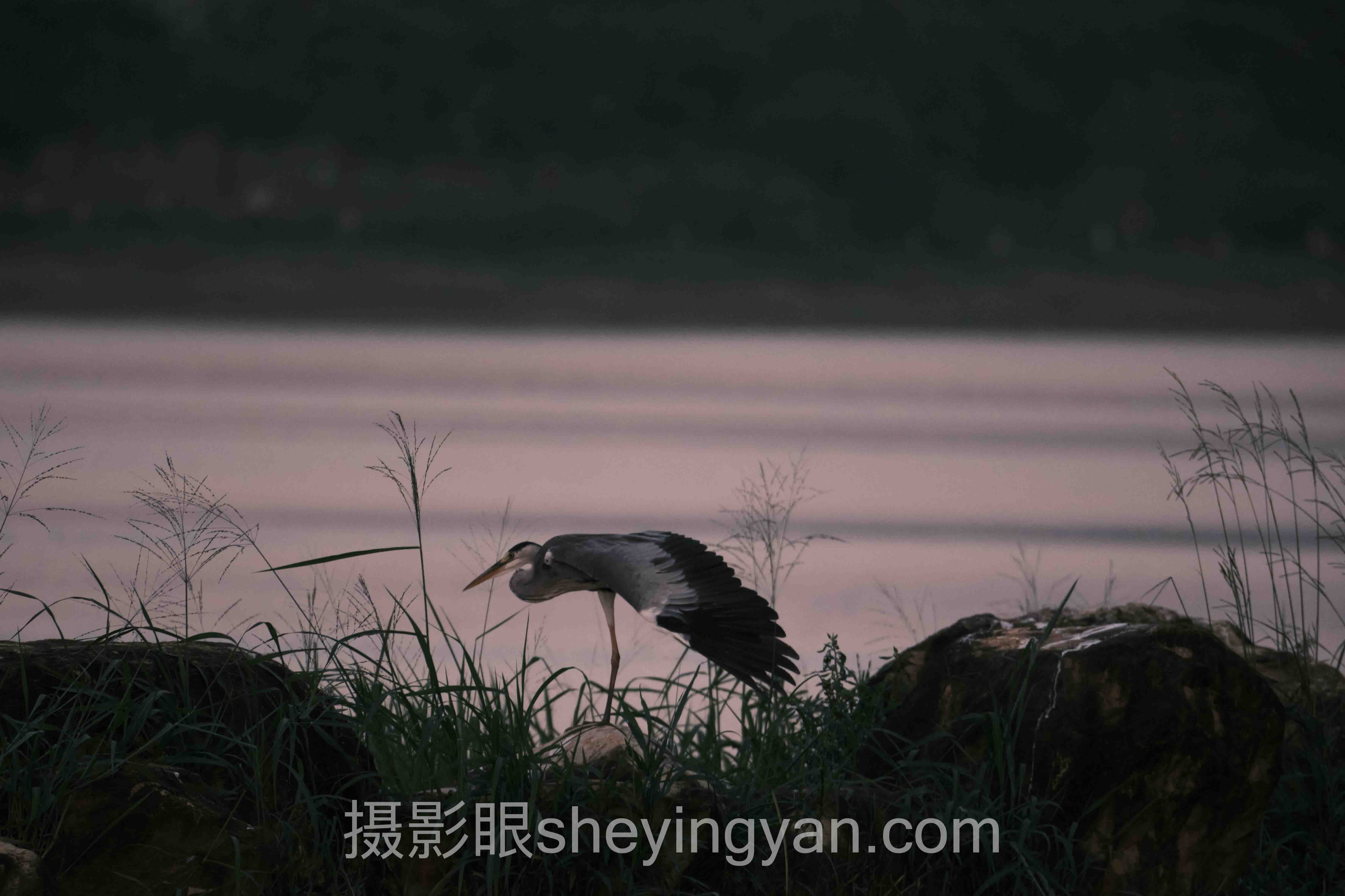 数据说话:摄影眼平台和视觉中国,谁更懂你的照片?
