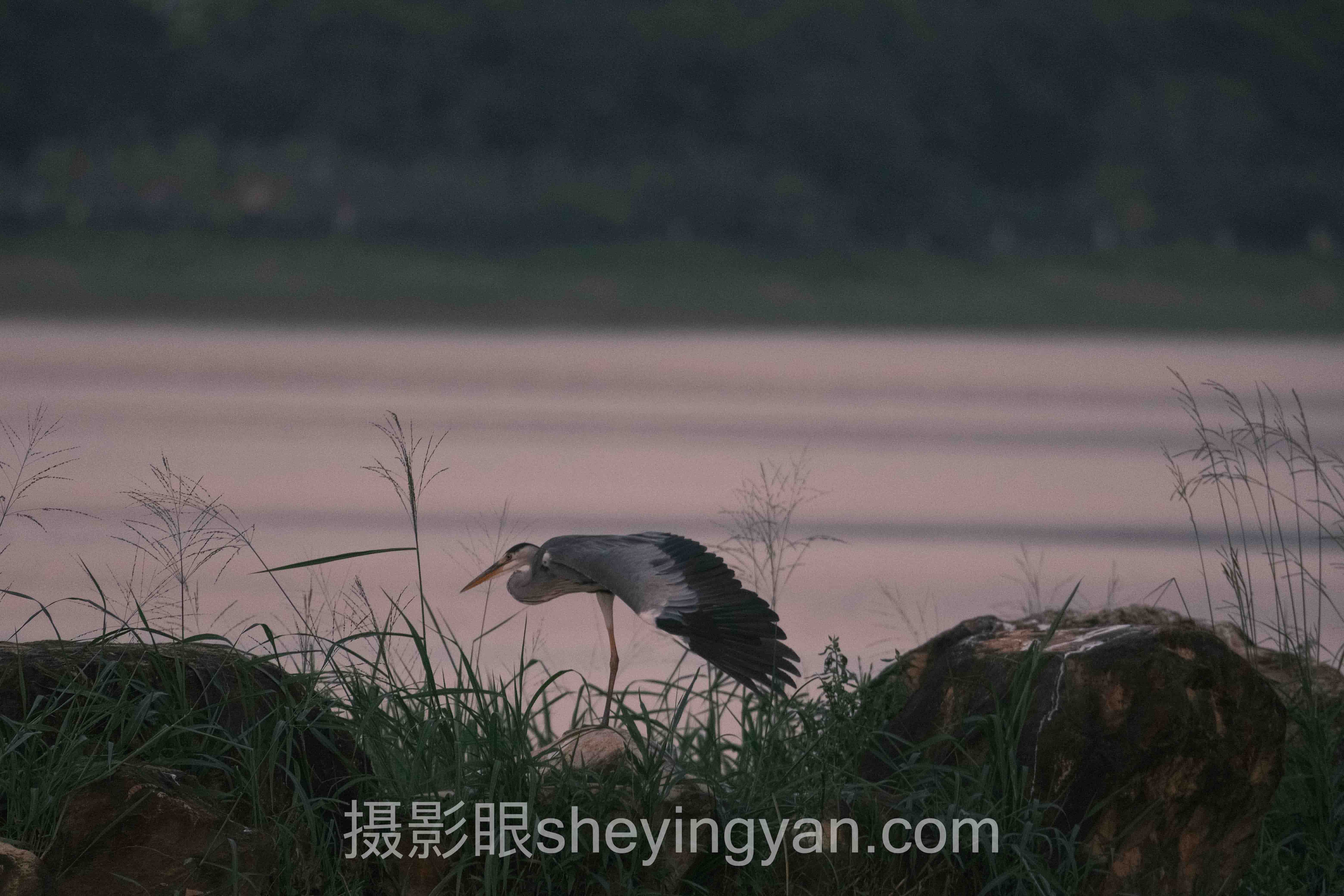 摄影后期修图接单深度分析：现状、挑战与未来趋势