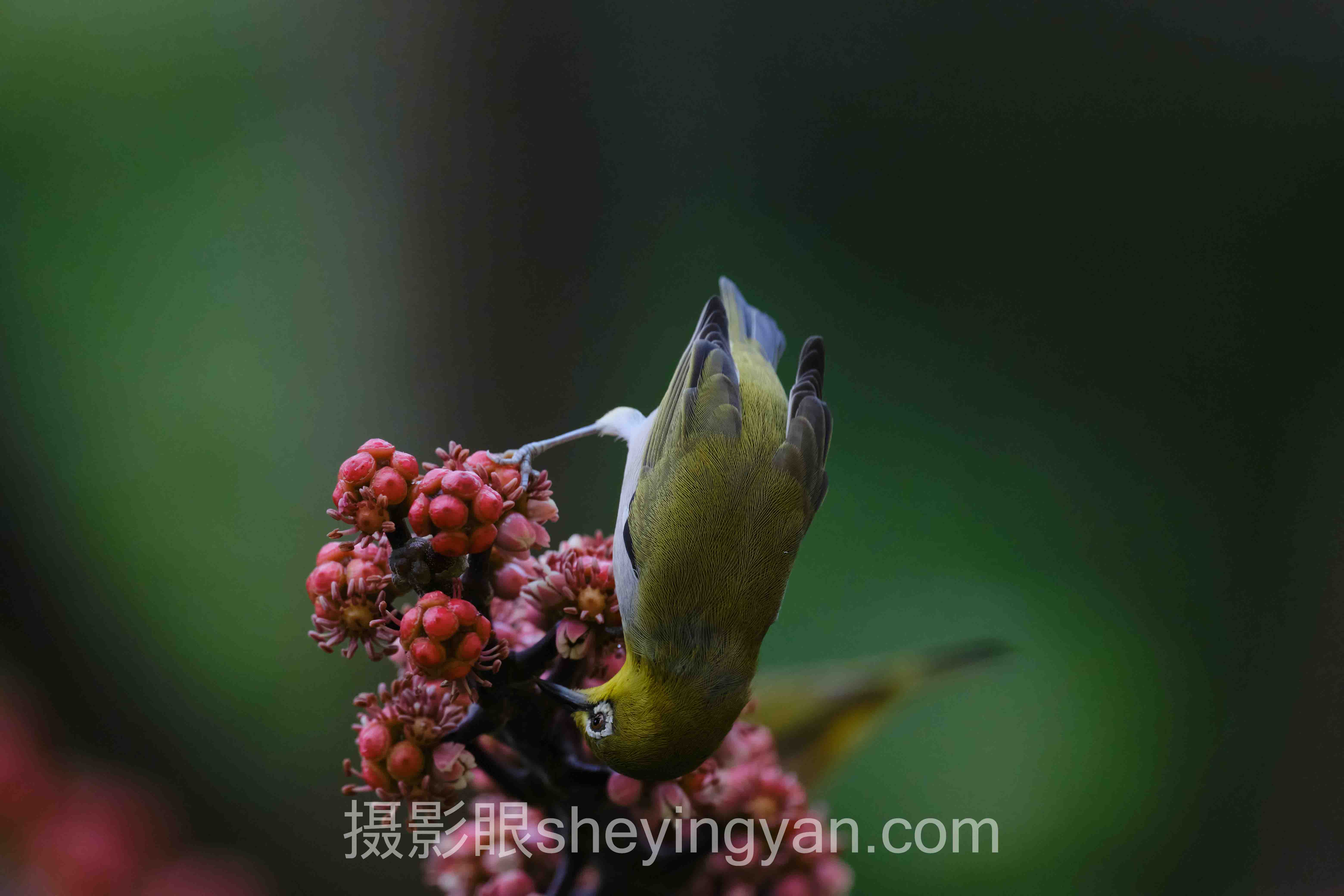 数据说话：儿童照片点评方法的最新发展现状