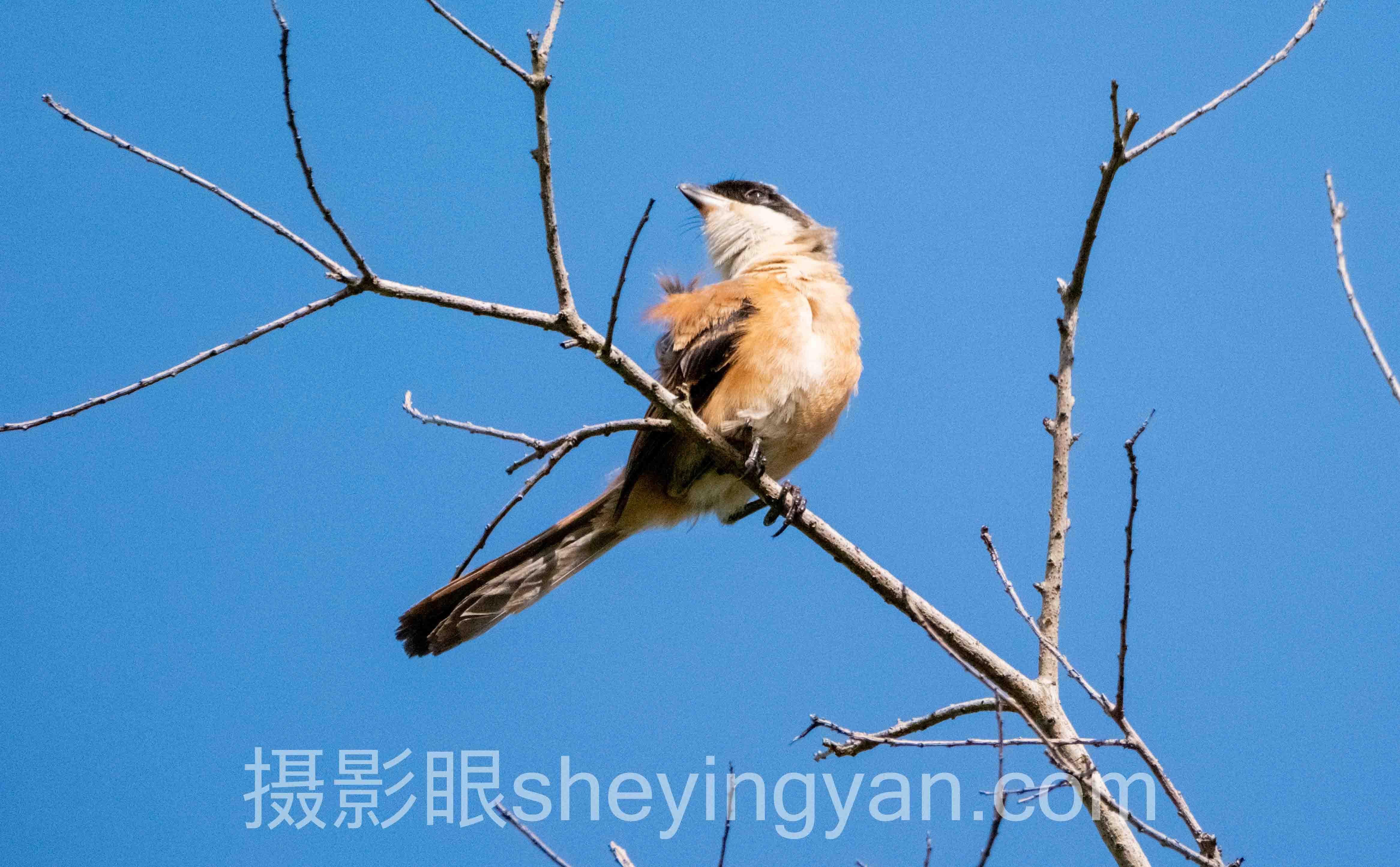 旅行照片点评分享实操指南：三步提升出片率