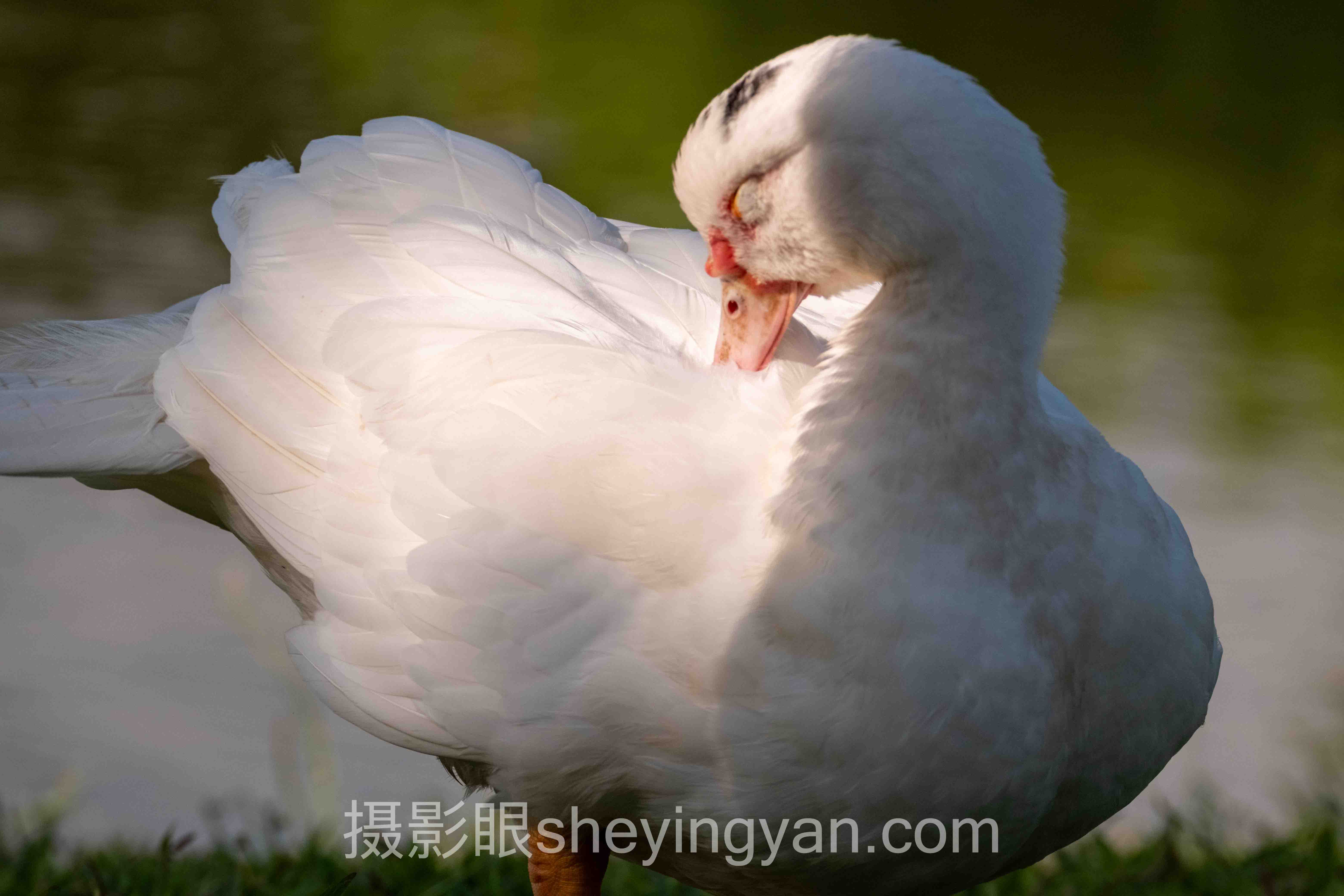 什么是逆光