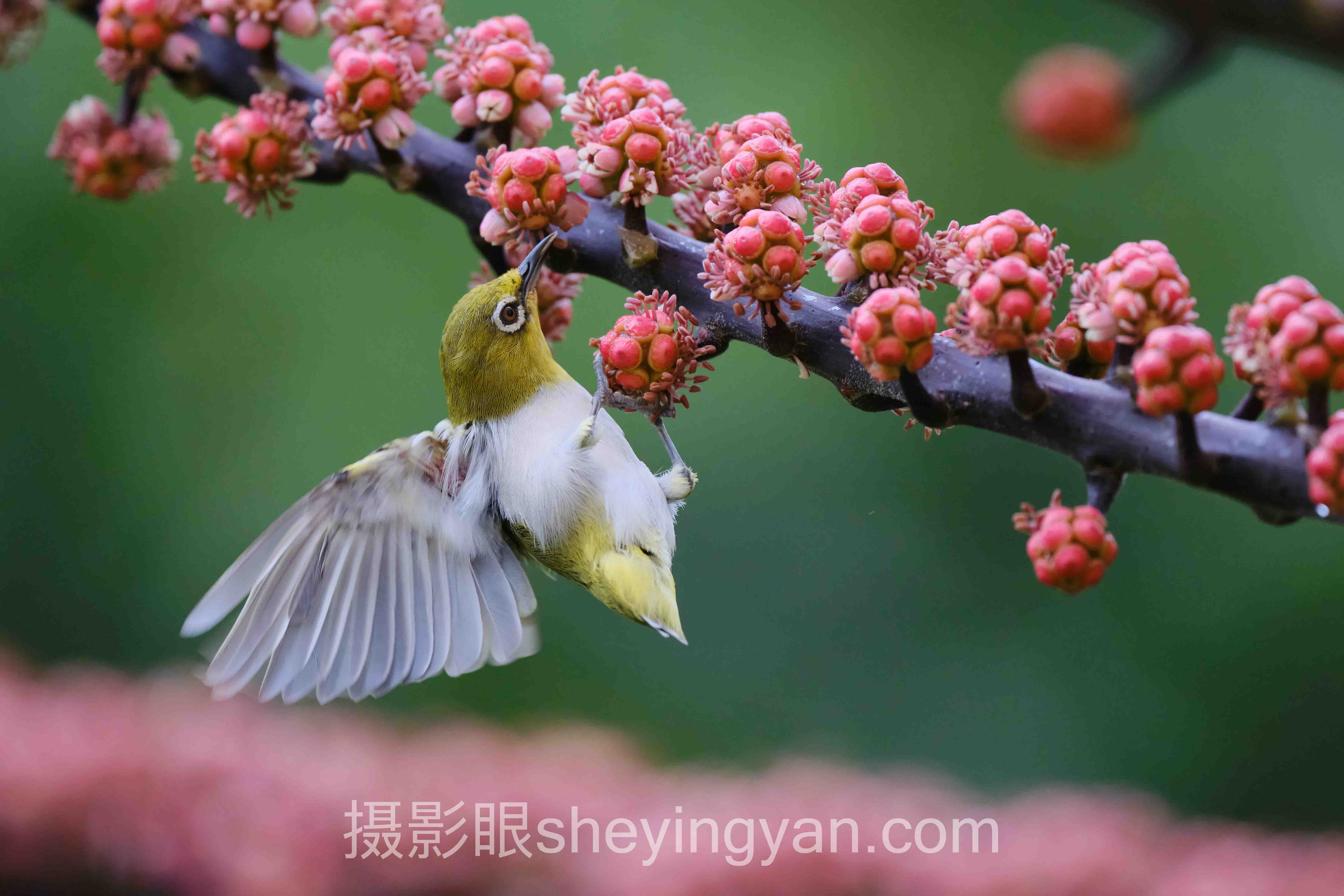 照片点评与AI评分行业数据全景：7组数据揭示真相